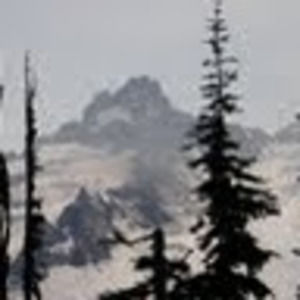 Meet your Posher, Alan